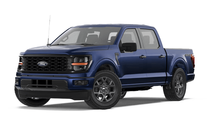 2021-Current F-150 Category Image